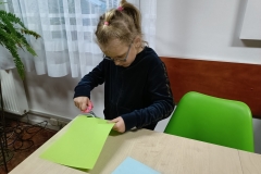 IMG20241120154521