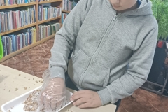 IMG20250108154313