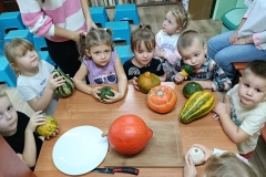IMG20241031112750