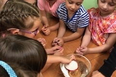 IMG_20240612_131042